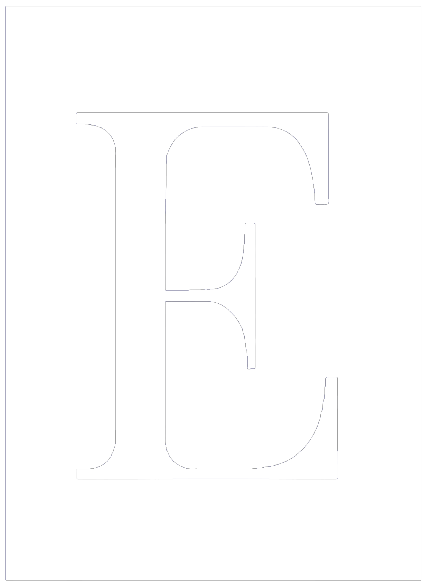 Erlebach Web Solutions Logo